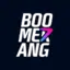 Logo Boomerang Bet Casino
